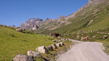 MTB Heidelbergerh├╝tte (22)a.jpg | © TVB Paznaun-Ischgl