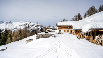 Versing_bearbeitet_01.jpg | © Bernhard Gruber Photography