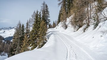 Winterwanderweg Versing - Kamera ©Bernhard Gruber Photography (69)a.jpg | © Bernhard Gruber Photography