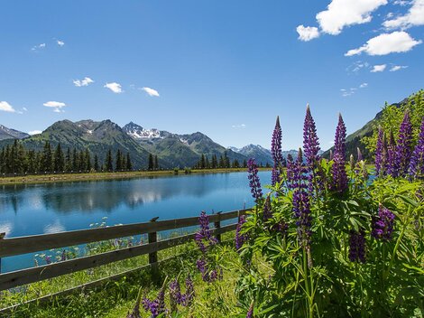 A picturesque landscape with purple flowers along the shore of a clear lake. In the background, majestic mountains rise under a blue sky.
