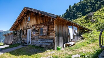 A traditional wooden house in the mountains, surrounded by green meadows and trees. The sky is clear and blue, creating a peaceful atmosphere.