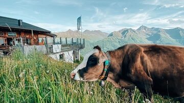 Almstüberl Sommer