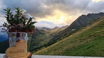 Almstüberl Sommer_7