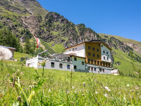 Bodenalpe_2