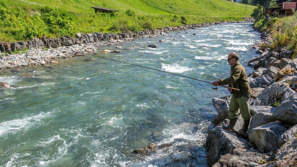 Fischen