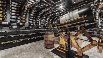 Weinsafe 3