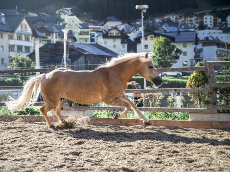 A blond horse is running fast in a riding stable. In the background, there are houses and a beautiful mountain visible.