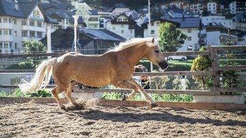 Reiten_1