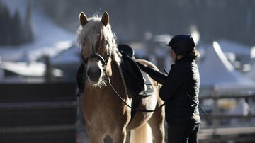 Reiten_7