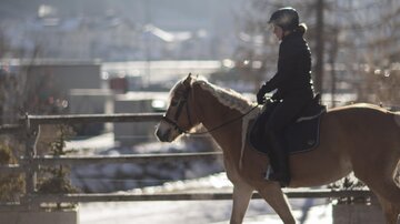 Reiten_8