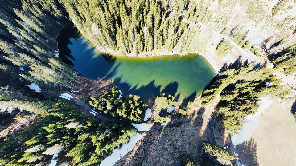 Ein malerischer See umgeben von dichten Nadelbäumen. Die klare Wasseroberfläche spiegelt die Natur wider.