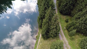 Ein schöner Park mit einem ruhigen Teich und hohen Bäumen. Der Himmel spiegelt sich im Wasser und schafft eine friedliche Atmosphäre.