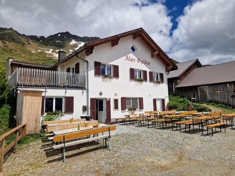 Alpe Spidur Sommer_1