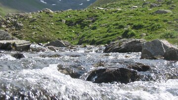 IMG_0090